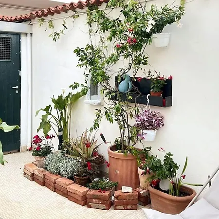 Deephouse, Casa Con Giardino Vicino Al Mare Holiday home *