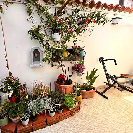 Deephouse, Casa Con Giardino Vicino Al Mare