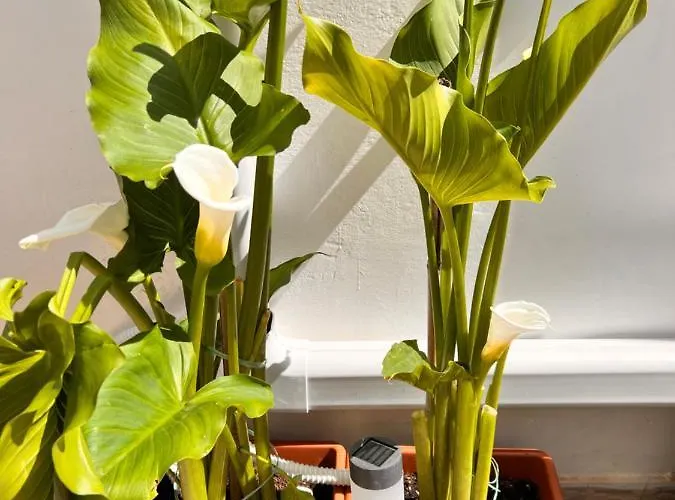 Deephouse, Casa Con Giardino Vicino Al Mare